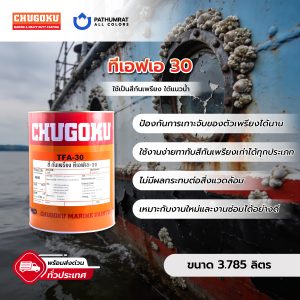 สีทาเรือ ทีเอฟเอ 30 - CHUHOKU TFA 30