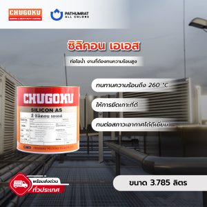 ซิลิคอน เอเอส - SILICON AS