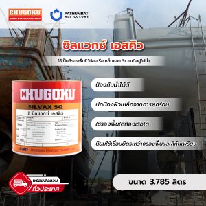 ซิลแวกซ์ เอสคิว - SILVAX SQ