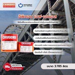 อิพิคอน เอฟ-เอชเอส - EPICON F-HS